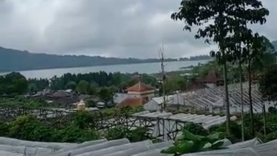 Tanah Strategis di Bedugul, Tabanan, Harga 25 Juta