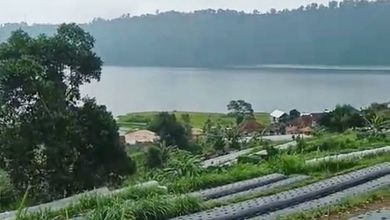 Kavling dengan Nilai Murah Daerah Pancasari Buleleng