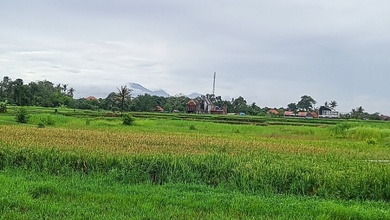 Jual Tanah Minimalis di Area Belalang, Tabanan