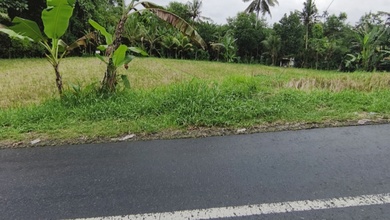 Segera Miliki Tanah Harga Ekonomis di Tabanan, Tabanan