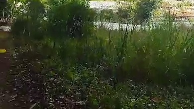 Dijual Kavling 2200 m2 Area Komplek Elit Bedugul