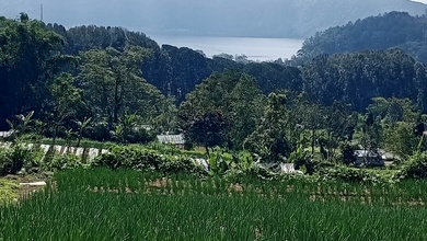 Jual Murah Tanah 9900 m2 Kawasan Strategis