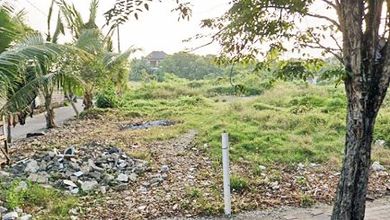 Tanah Siap Tempati Dekat Jalan Raya Canggu, Badung