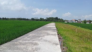 Jual Tanah Sederhana di Area Nyitdah, Tabanan