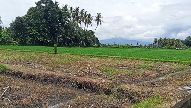 Tanah Siap Bangun Kawasan Cluster Gubug Tabanan