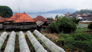 Jual Tanah Sederhana di Area Bedugul, Tabanan