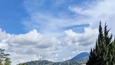 Tanah Harga Hemat di Bedugul, Tabanan, Harga 112 Juta