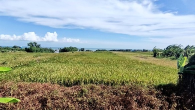 Promo Tanah Harga Ekonomis di Tibubiyu, Tabanan