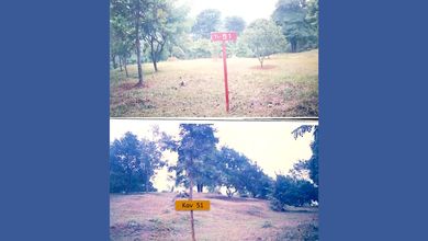 Tanah Elit Dijual di Cariu, Bogor, Harga 2,5 Miliar