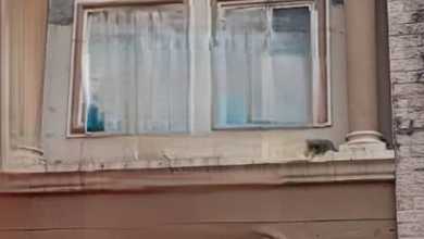 Di Pik,Dijual Ruko Cordoba 5X15 ,2 Lantai