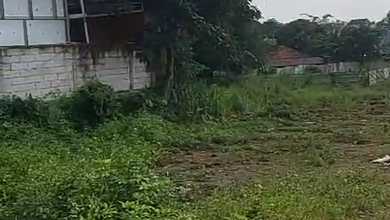 Disewakan Tanah Terjangkau di Cisauk, Tangerang, LT 3000m²