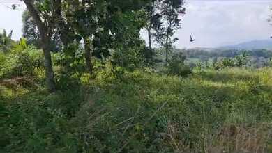 Tanah Nyaman untuk Hunian di Cianjur, Cianjur, Luas 8950m²