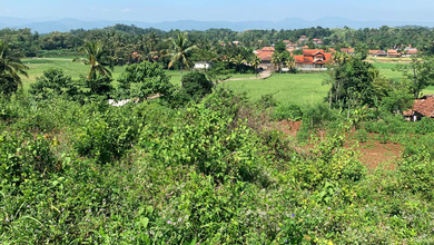 Jual Tanah Area Komplek Cianjur Pemandangan Danau dan Taman