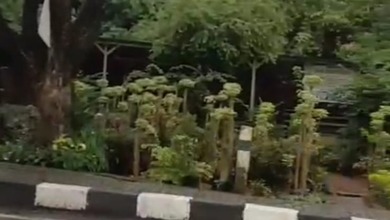 Kavling Cluster x  Kawasan Cimanggis