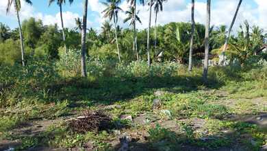 For Sale Tanah Eksklusif di Negara, Jembrana, LT 3750m²