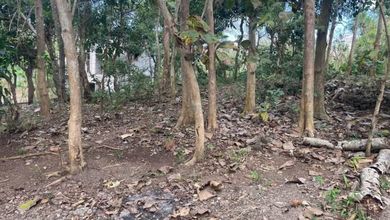 Dijual Tanah Eksklusif di Uluwatu, Badung, LT 2777m²