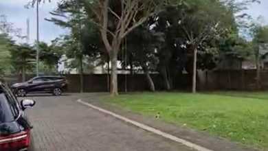 Jual Tanah di Lokasi Premium BSD, Tangerang, Harga 833 Juta