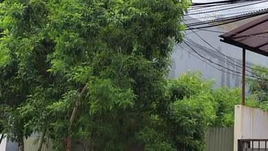 Kavling Prestisius Dijual di Kelapa Gading, Jakarta Utara, Harga 792 Miliar