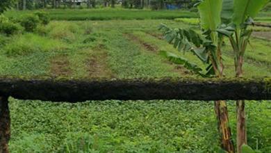 Jual Murah Tanah 12000 m2 Kawasan Strategis