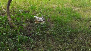 For Sale Tanah Eksklusif di BSD, Tangerang Selatan, LT 316m²