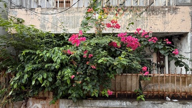 Rumah Siap Pakai di Kawasan Tanjung Duren, Jakarta Barat, LT 55m²