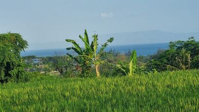 Dijual Tanah Eksklusif di Gianyar, Gianyar, LT 180000m²