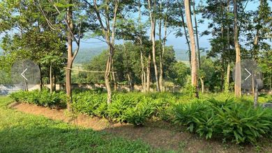 For Sale Tanah Eksklusif di Jonggol, Bogor, LT 30000m²