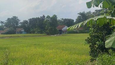 Dijual Tanah 935 m2 SHM di Legok, Tangerang