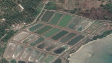 Tanah Elit Dijual di Padang Cermin, Pesawaran, Harga 26873 Triliun