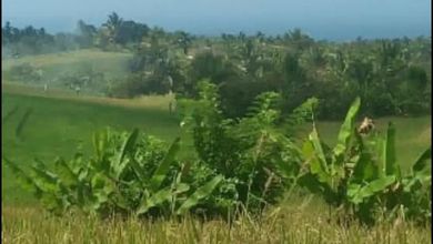 Jual Tanah Kawasan Komplek Benda Pemandangan Danau dan Taman