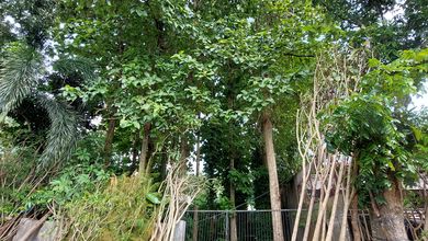 For Sale Tanah Eksklusif di Meruya, Jakarta Barat, LT 250m²