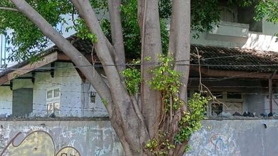 Penawaran Langka, rumah Prestisius di Kedoya, Jakarta Barat, LB 300m²