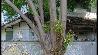 Tanah Elit Dijual di Kedoya, Jakarta Barat, Harga 32,9 Miliar