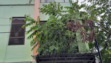 Dijual Cepat Rumah Kost Tomang Jakarta Barat