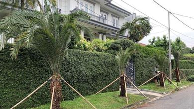 Sewa Rumah Terbaik di Pondok Indah, Jakarta Selatan, Harga Terjangkau