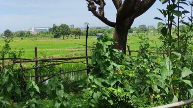 Dijual Tanah Eksklusif di Cikande, Serang, LT 300000m²