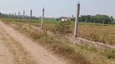 For Sale Tanah Premium di Mauk, Tangerang, LT 4200m²