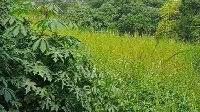 Kavling Prestisius Dijual di Pondok Cabe, Tangerang, Harga 4,78 Miliar