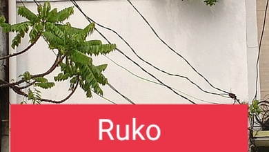 Dijual Ruko di Jalan Raya Pademangan,harga Bersahabat.