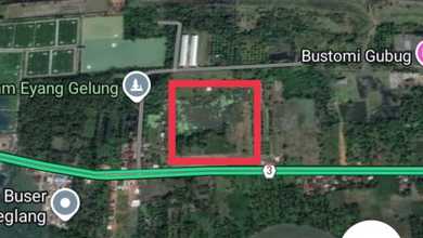 Tanah Elit Dijual di Panimbang, Pandeglang, Harga 24,9 Miliar