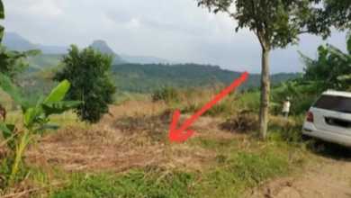 For Sale Tanah Eksklusif di Jonggol, Bogor, LT 23000m²