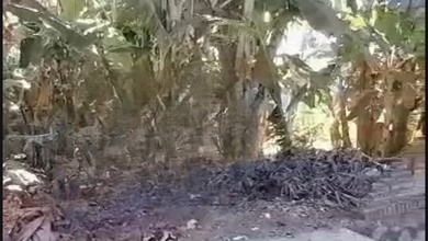 Tanah Elit Dijual di Medokan Ayu, Surabaya, Harga 96 Miliar