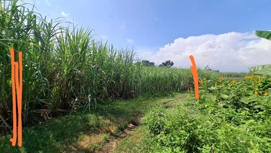 For Sale Tanah Premium di Jatirejo, Mojokerto, LT 4660m²