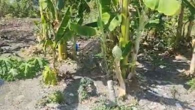 Segera Miliki Tanah Harga Ekonomis di Medokan Ayu, Surabaya