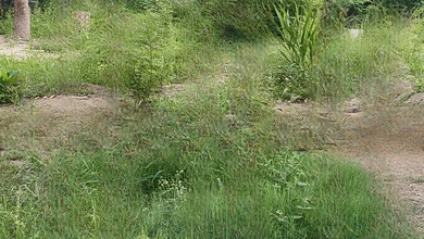 Jual Tanah Lokasi Strategis, LT 1393 m2