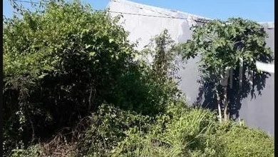 Promo Tanah Strategis di Medokan Ayu, Surabaya, Harga 520 Juta