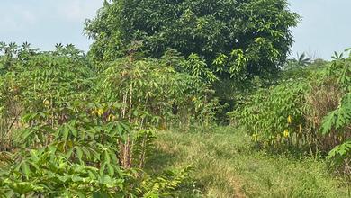 Tanah Elit Dijual di Karawang Timur, Karawang, Harga 676 Triliun