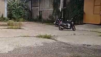 Disewakan Gudang dalam kawasan KBN marunda bekasi