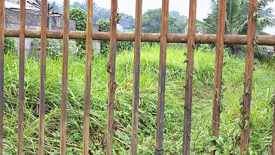 Tanah Elit Dijual di Parung Panjang, Bogor, Harga 10,3 Miliar