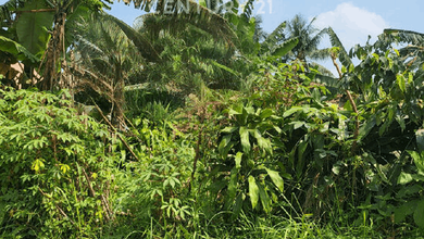 Kavling Prestisius Dijual di Parung, Bogor, Harga 8,05 Triliun